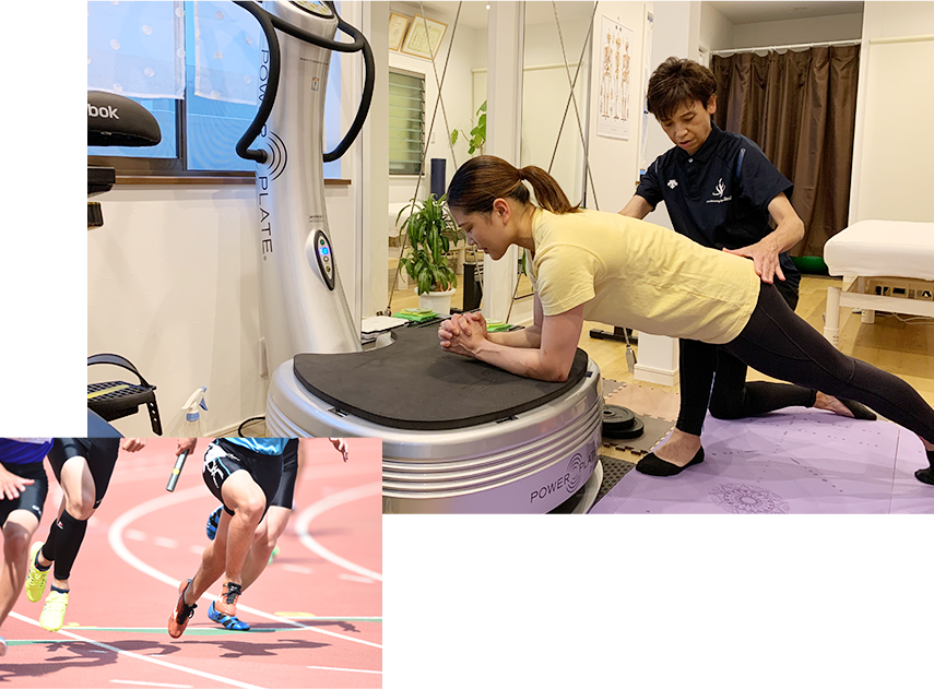 【新品】ニシ・スポーツ 定価95700円 パワーバランストレーニング 体幹安定力トレーニングマシン